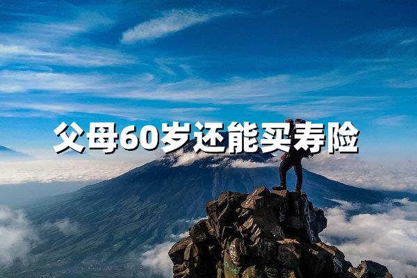 60岁父母买寿险：3大关键理由+防坑指南