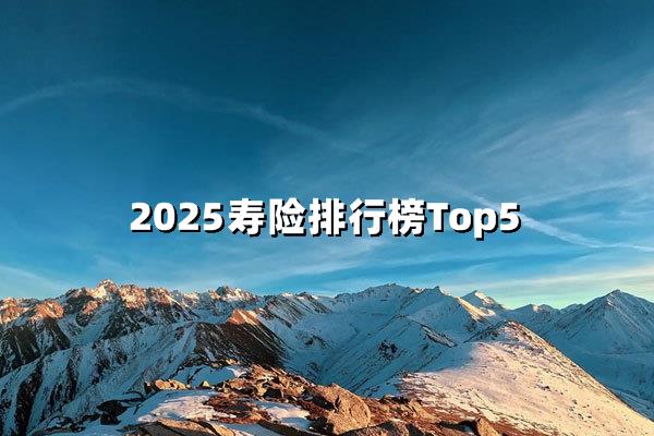 2025年寿险排行榜Top5揭晓：把握最佳保险选择