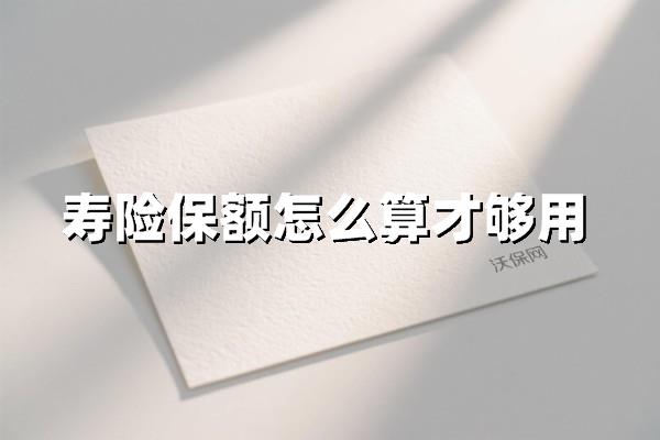 房贷+子女教育+赡养费：算对你的“寿命价格”才安心