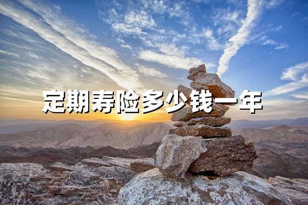 定期寿险多少钱一年？这样买最划算不到一顿火锅钱