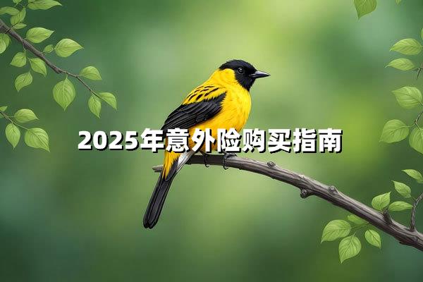 2025重新定义你的守护底线：意外险终极购保指南