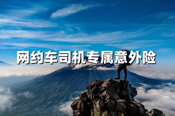 网约车司机专属意外险，20小时在途护航每一程！