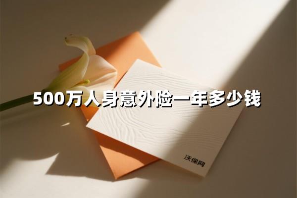500万人身意外险一年多少钱？高保额投保指南