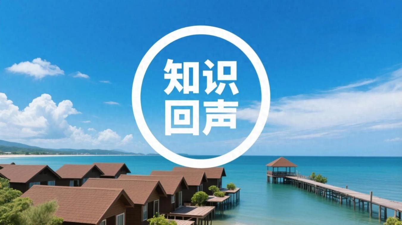 知识回声app：打破时空限制，开启随时随地的学习之旅