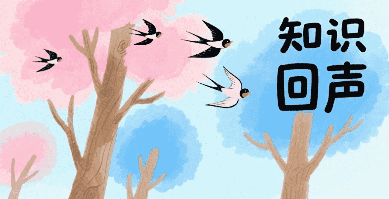 知识回声app：打破学习边界，重塑阅读新体验