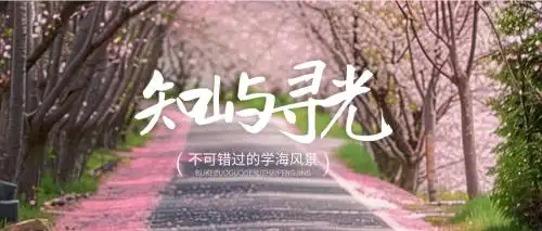 新知识服务平台“知屿寻光”上线:专注深度学习,打造系统化知识入口
