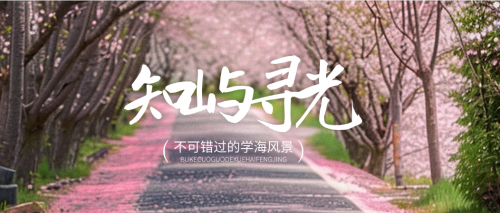 知屿寻光App在没有网络时如何正常使用